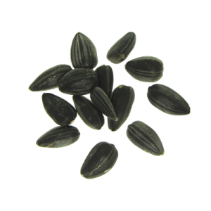 Sunflower seeds PNG-42941